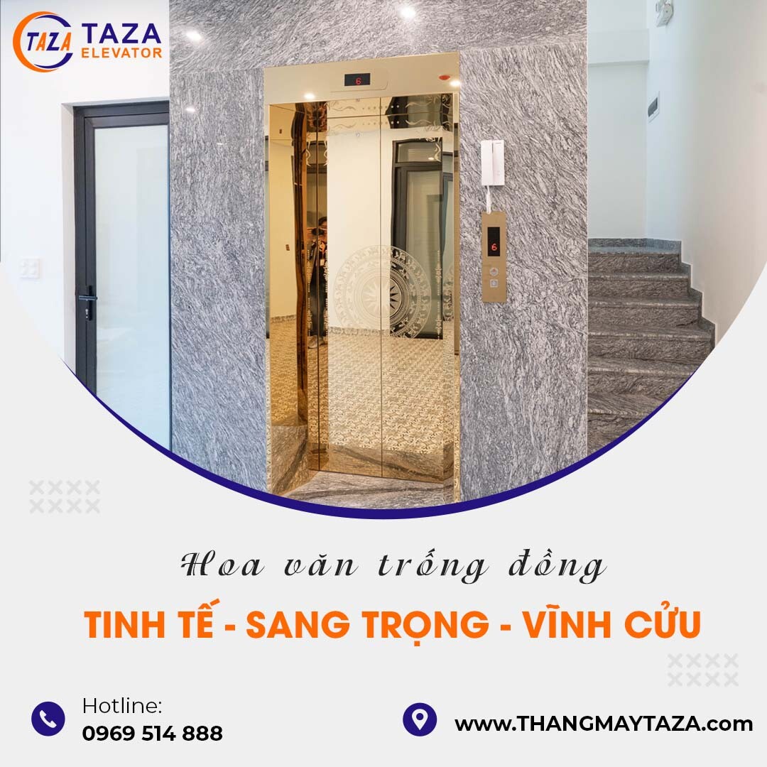 Thang Máy Taza 1