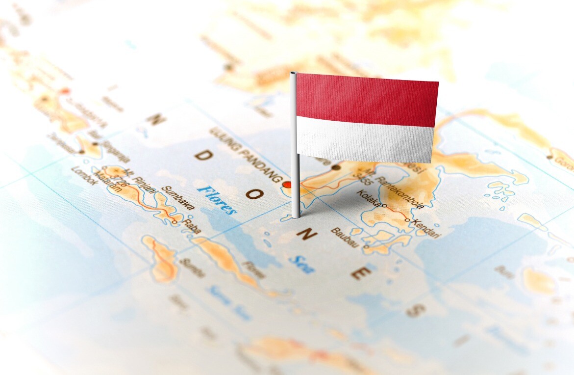 Dimerco Vietfracht 9