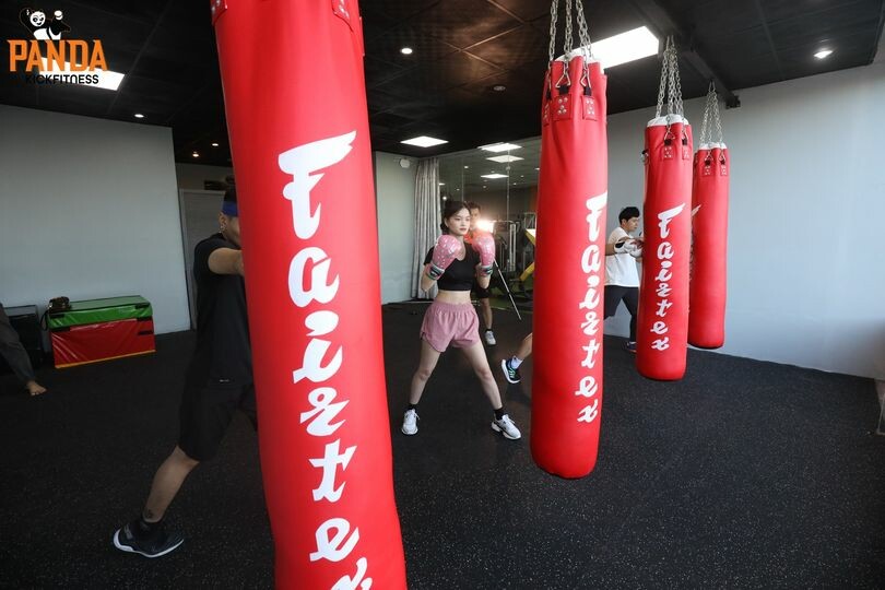 Panda Kickfitness 3