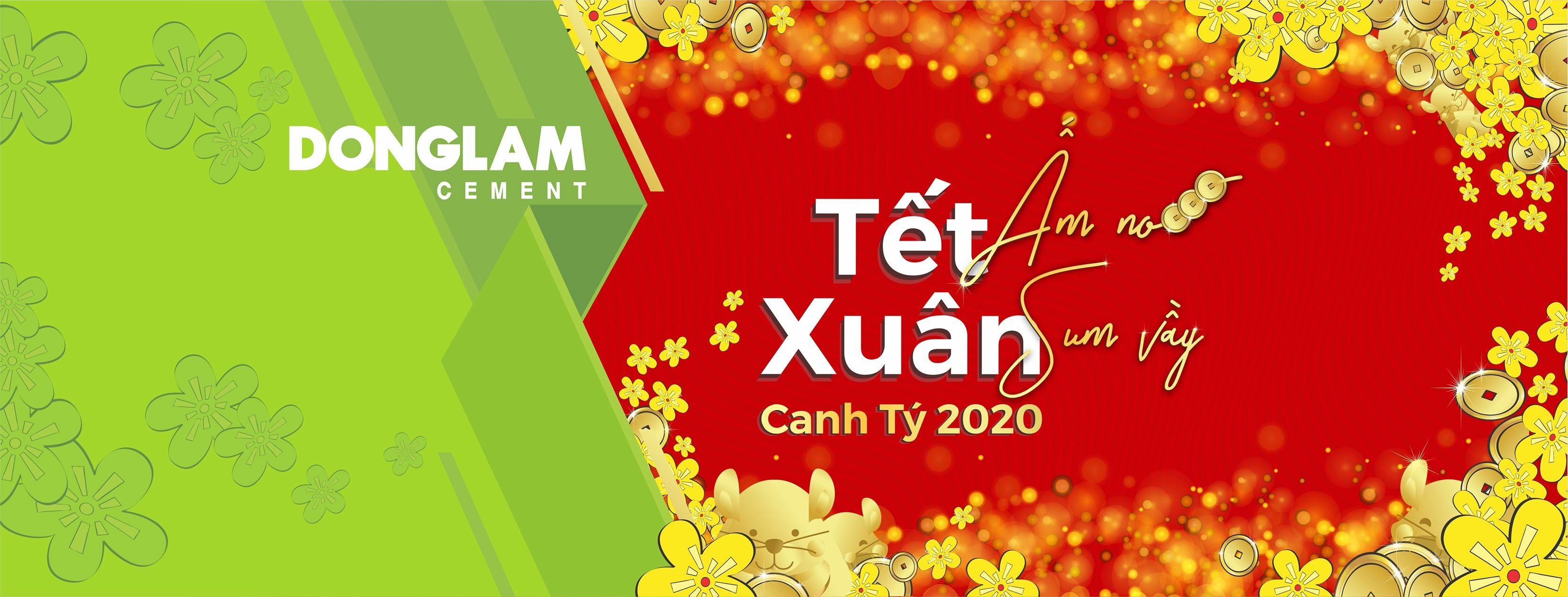 XI MĂNG ĐỒNG LÂM 9