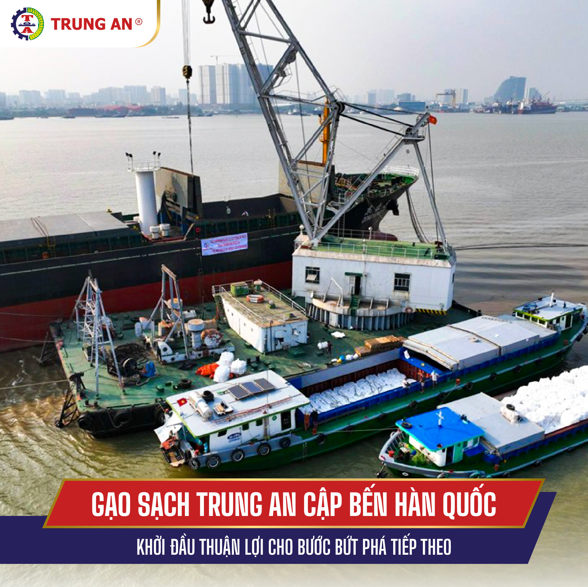 Nông Nghiệp Trung An 9