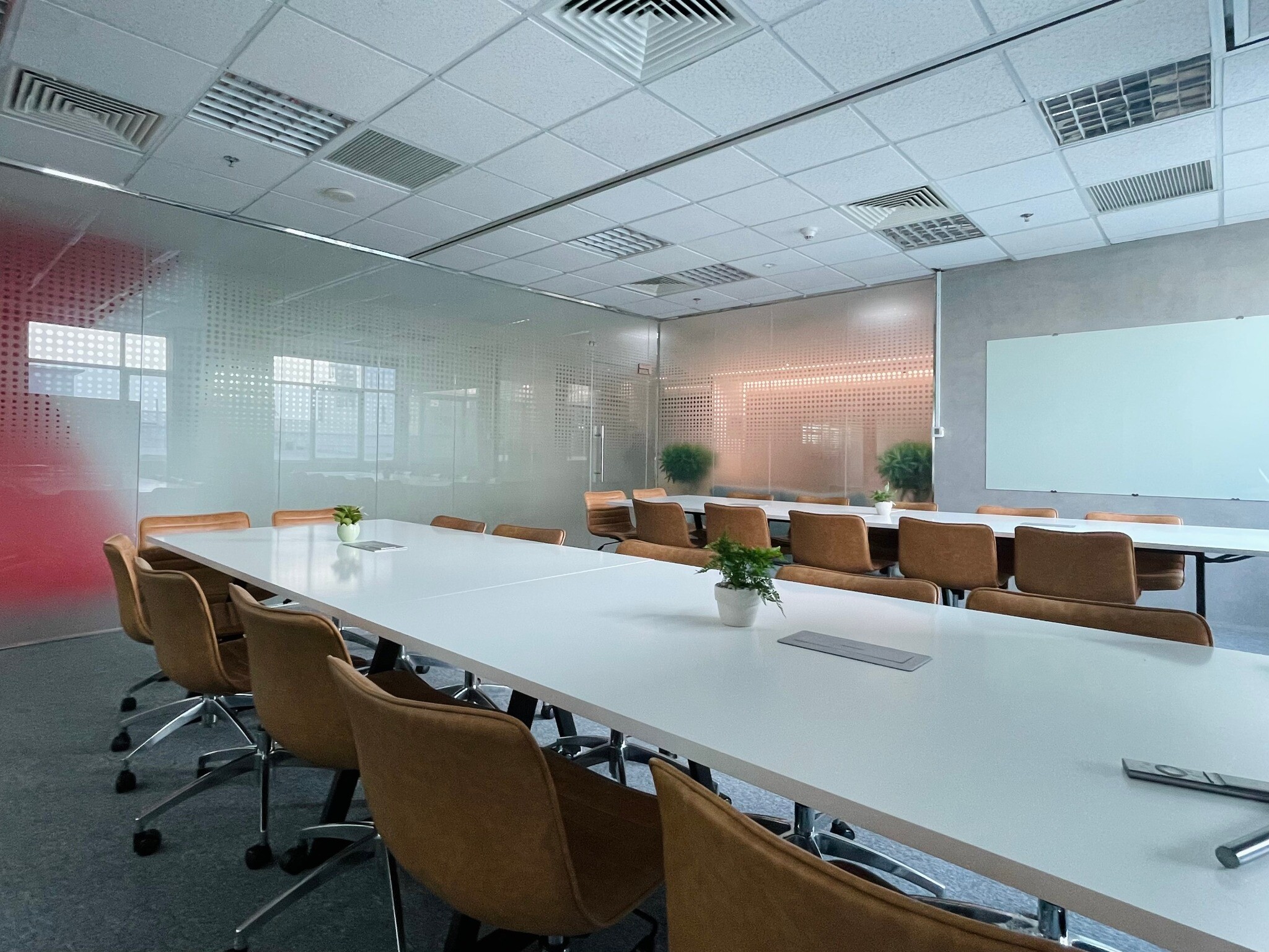 Networld Asia Group 5