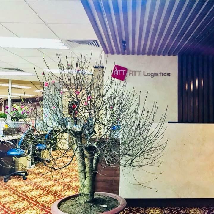 Tiếp Vận ATT Việt Nam 1