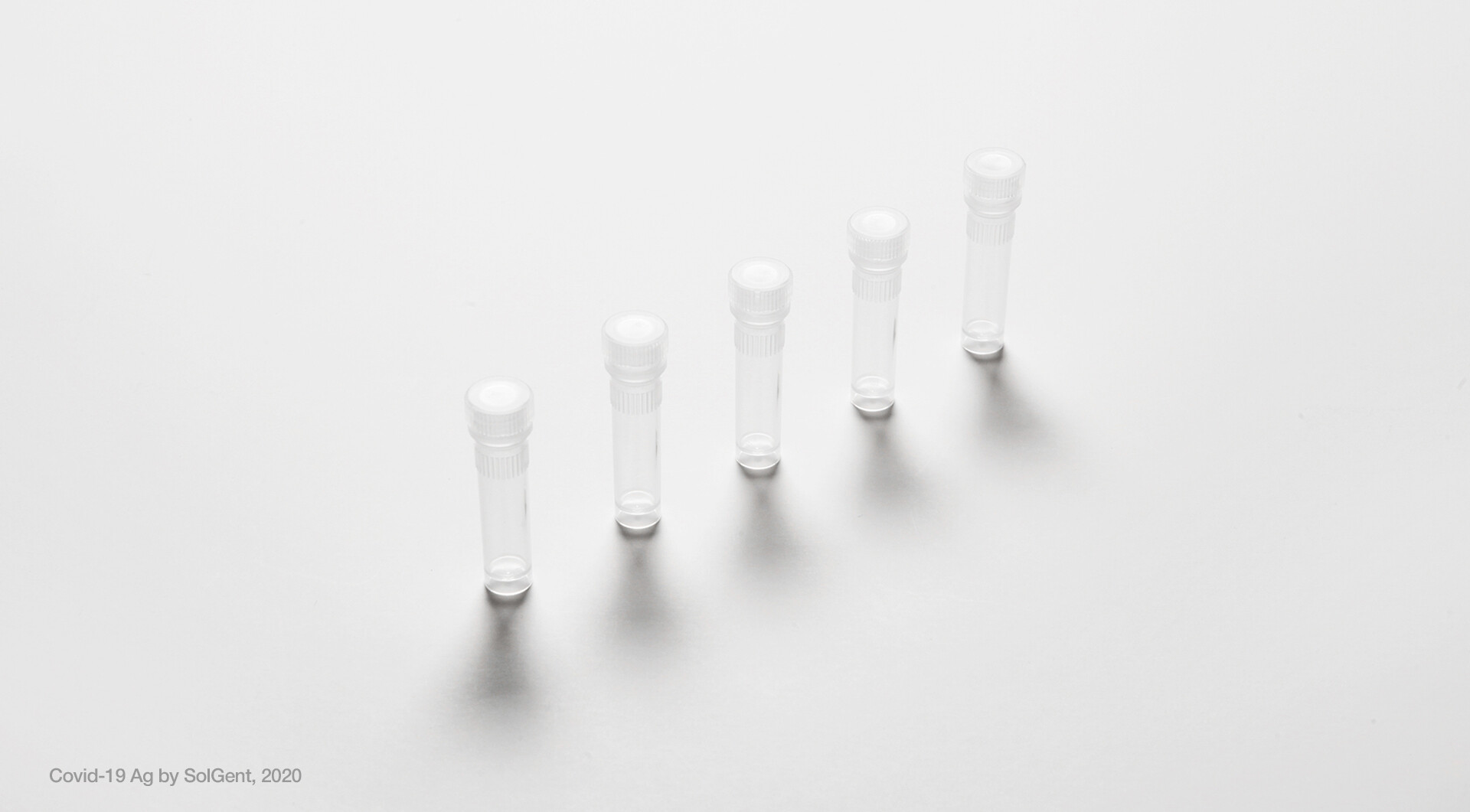 Intops Việt Nam 10