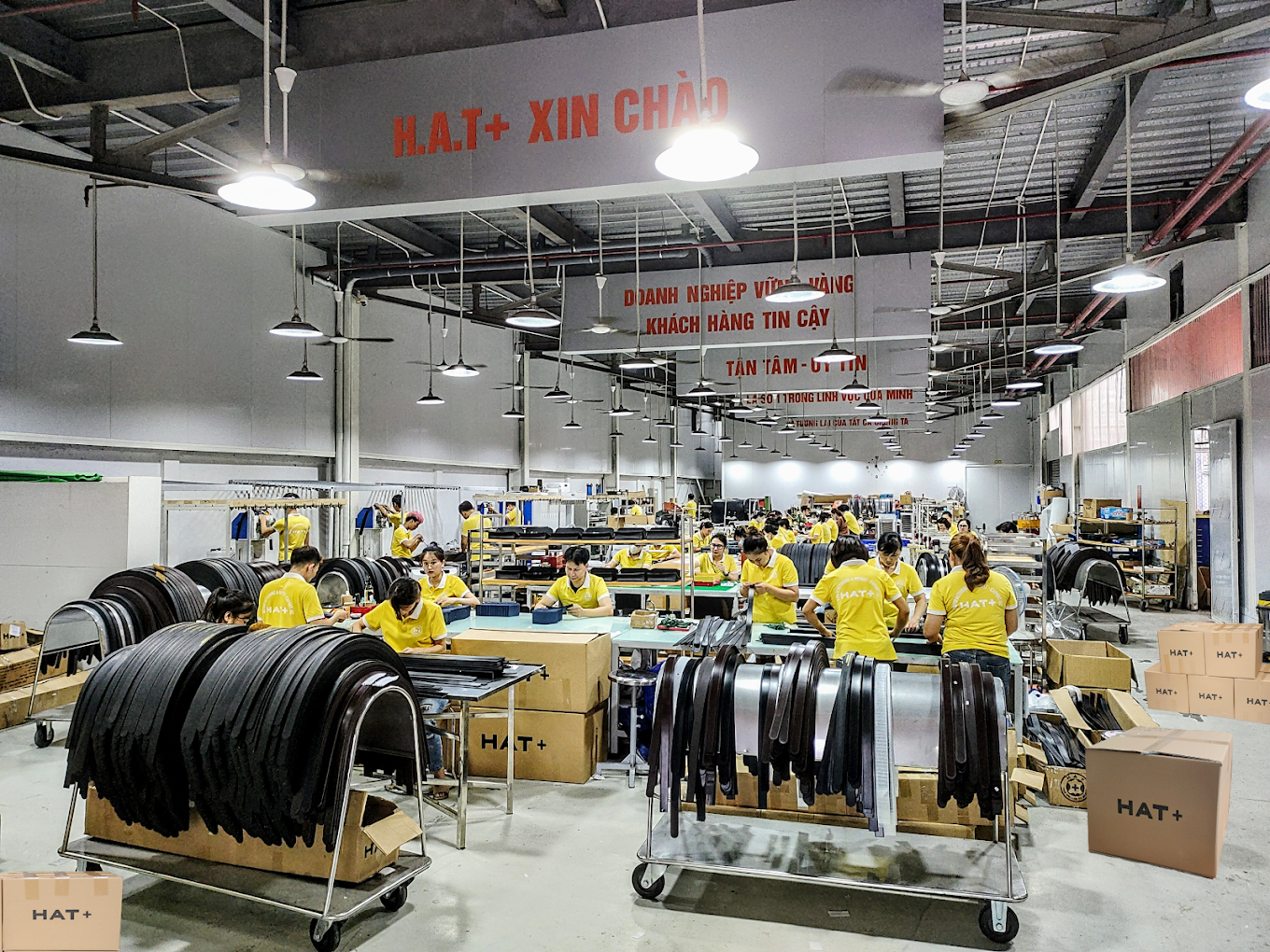 Sản xuất và Nhập Khẩu HAT+ 14