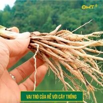 Công Nghệ Cao Đại Hưng Thăng 3