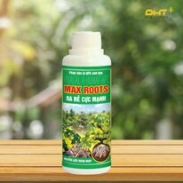 Công Nghệ Cao Đại Hưng Thăng 2