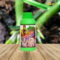 Công Nghệ Cao Đại Hưng Thăng 4