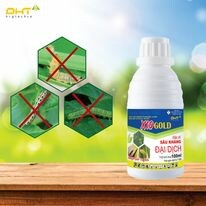 Công Nghệ Cao Đại Hưng Thăng 10