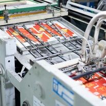 Bao bì  Việt Thịnh 8