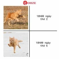 OHZE 7