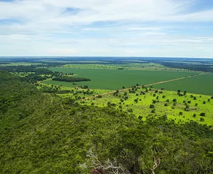 Công Ty TNHH Kinh Doanh Nông Sản Việt Nam 1