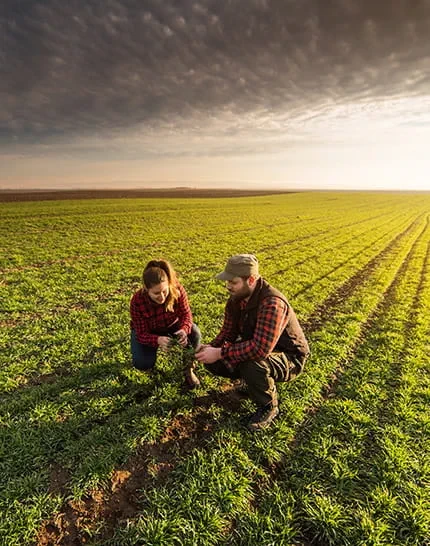 Công Ty TNHH Kinh Doanh Nông Sản Việt Nam 4