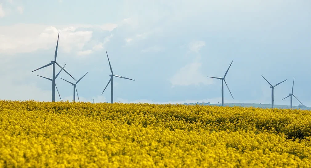 Công Ty TNHH Kinh Doanh Nông Sản Việt Nam 9