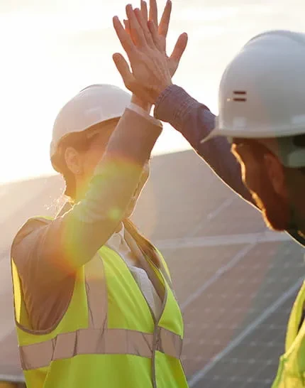 Công Ty TNHH Kinh Doanh Nông Sản Việt Nam 3