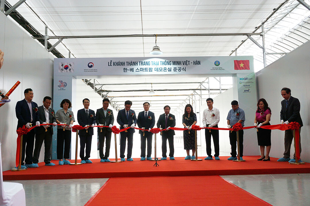 Xuất nhập khẩu Việt Hàn 1