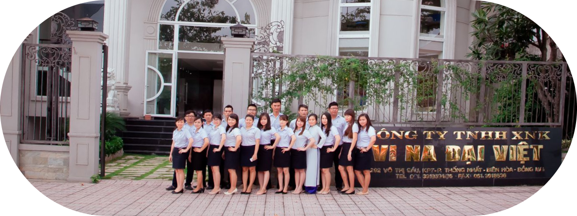 Xuất Nhập Khẩu Vi Na Đại Việt - VINIMEX GROUP 2