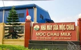 Mộc Châu Milk 2