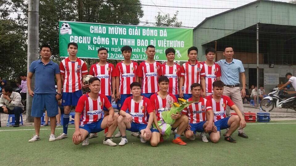 Bao bì Việt Hưng 2