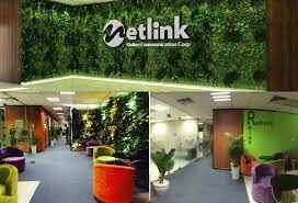 Netlink Việt Nam 2