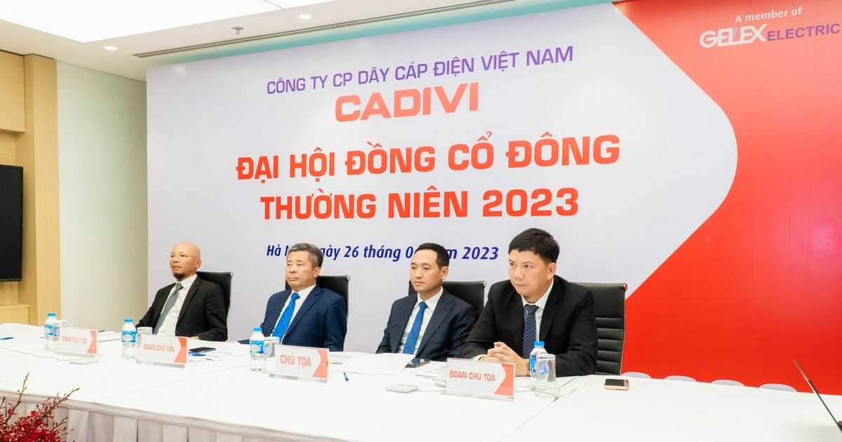 DÂY CÁP ĐIỆN VIỆT NAM - CADIVI 3