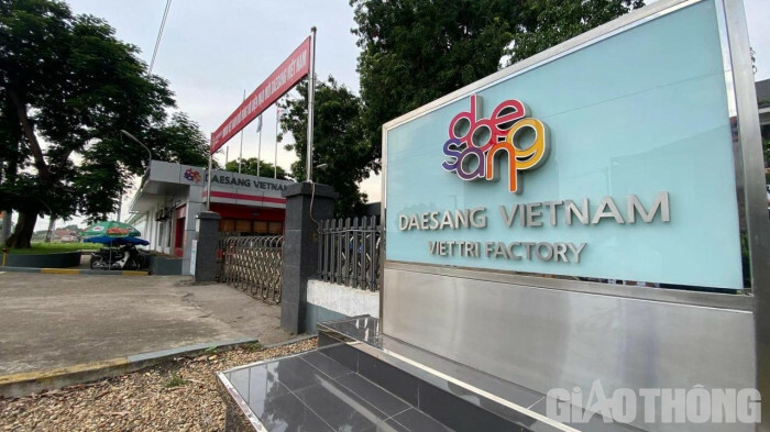 DAESANG VIỆT NAM 3