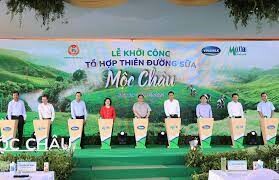 Mộc Châu Milk 3