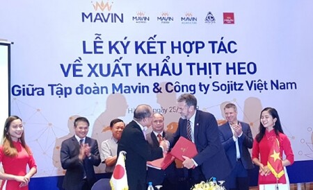 TẬP ĐOÀN MAVIN 3