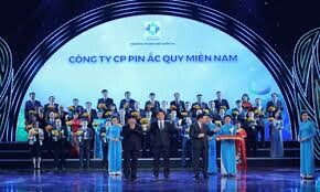 PIN ẮC QUY MIỀN NAM - PINACO 6