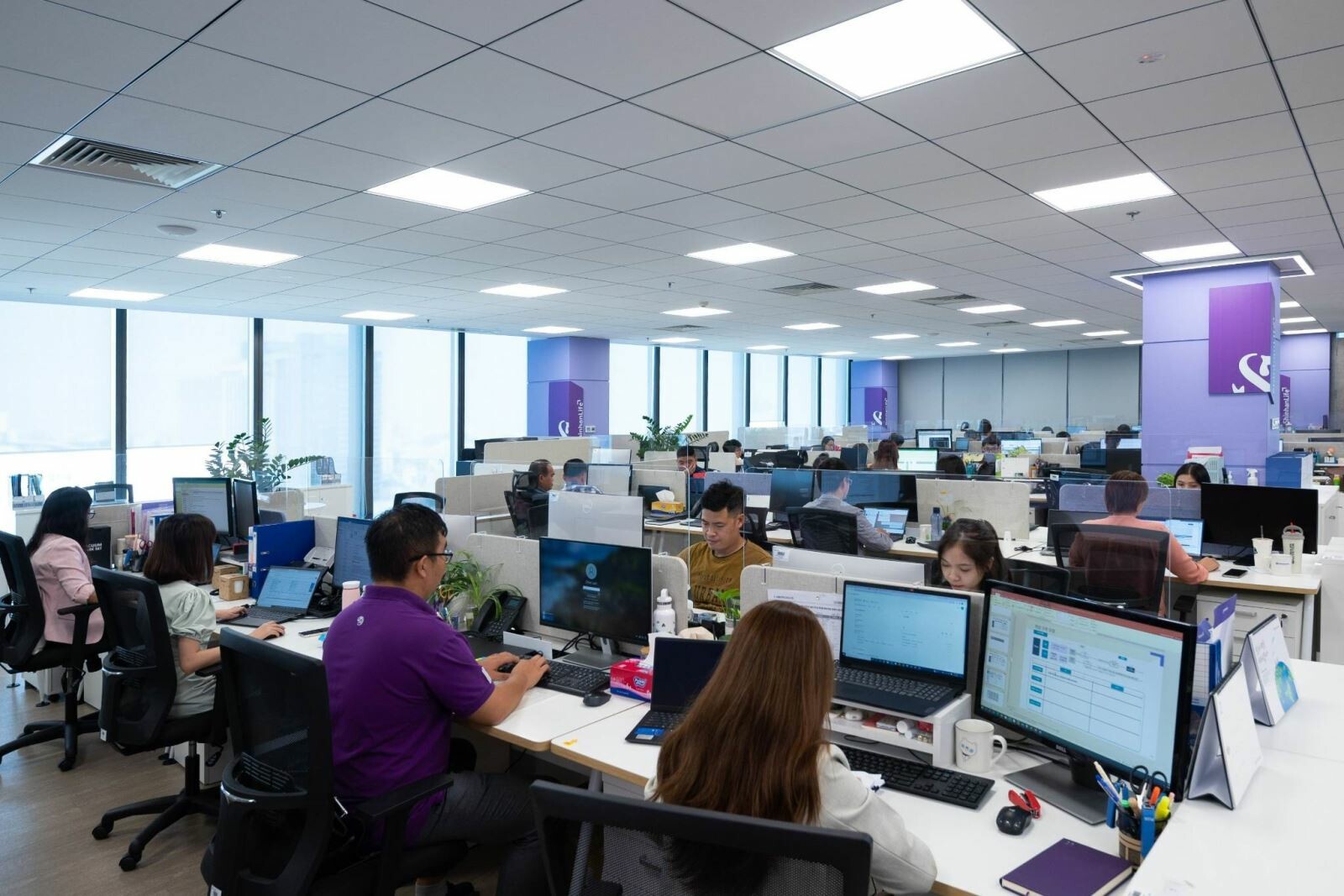 Shinhan Life Việt Nam 6