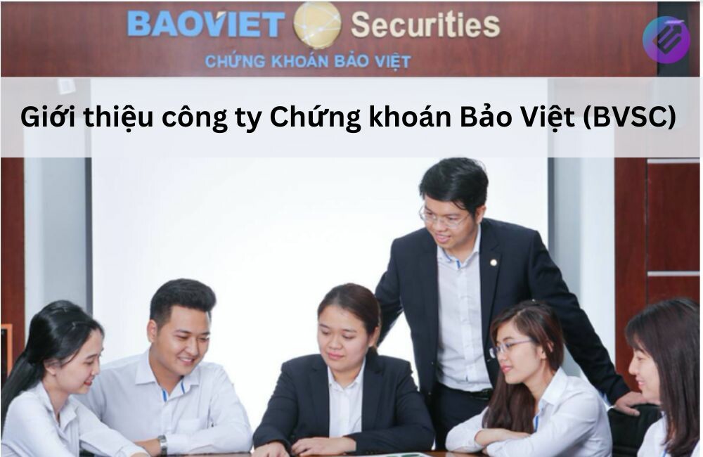 Chứng khoán Bảo Việt 6