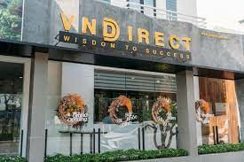 VNDIRECT Securities Corporation 17