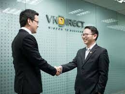 VNDIRECT Securities Corporation 13