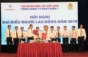 CÔNG TY PHÁT ĐIỆN 1 5