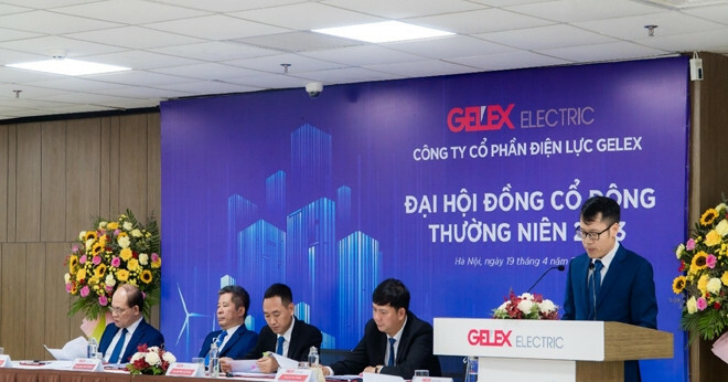 Tập đoàn GELEX 6