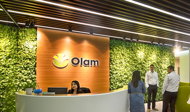 Olam Việt Nam 2