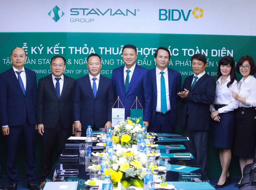 STAVIAN HÓA CHẤT 6