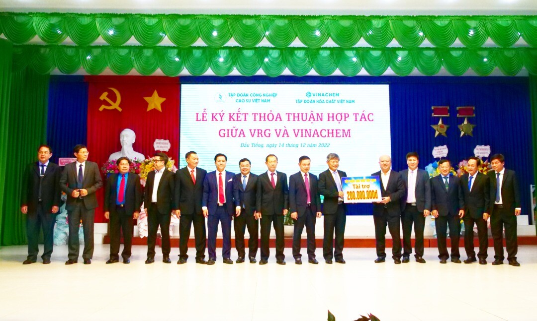 Cao su Việt Nam 10