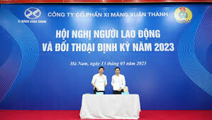 Xi măng Xuân Thành 6