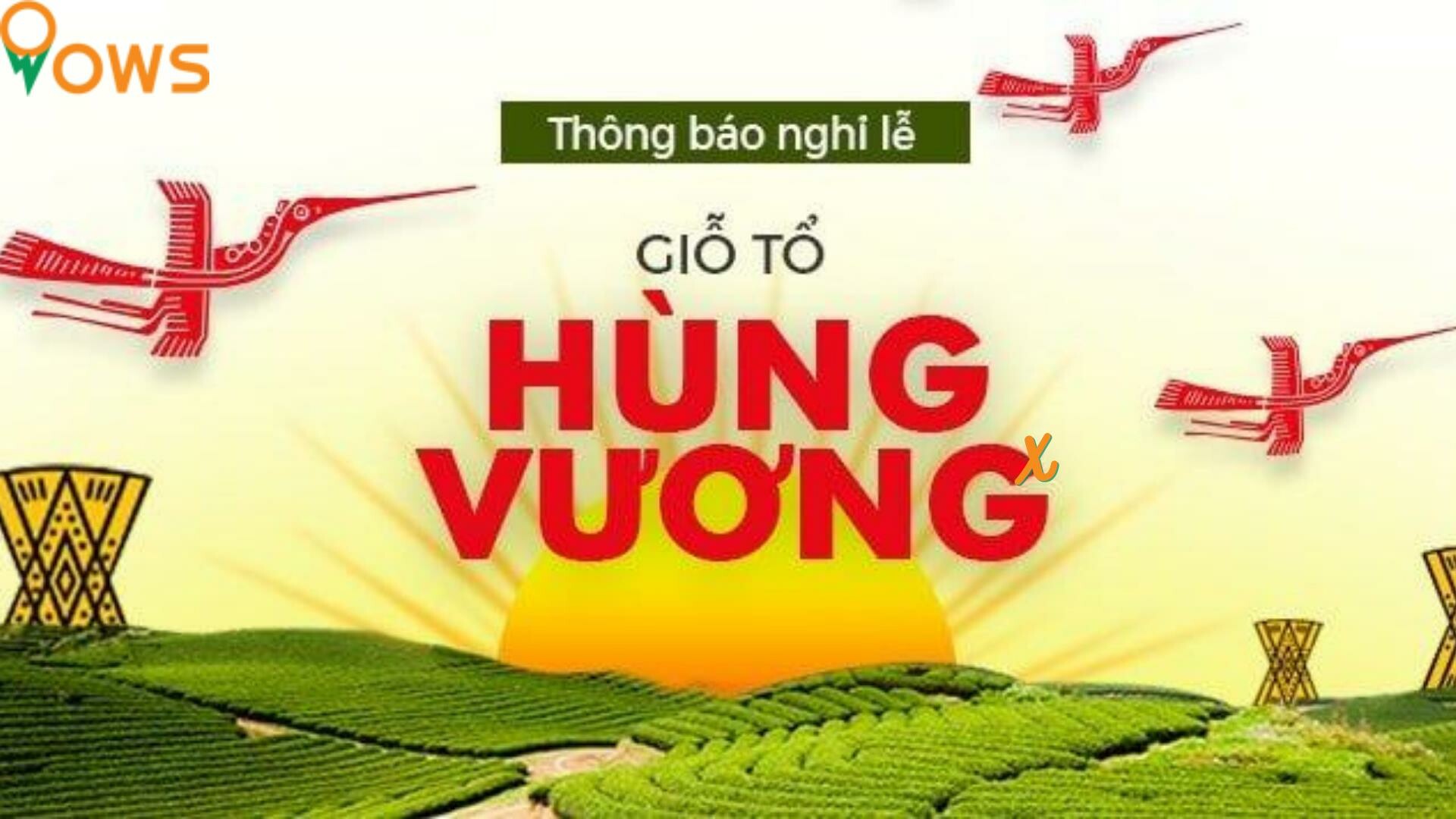 OWS VIỆT NAM 9
