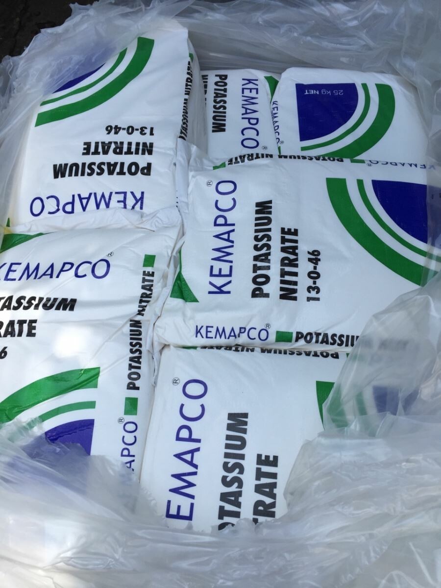 Gemachem Việt Nam 8