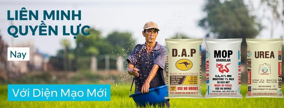 Tập Đoàn Vinacam 10