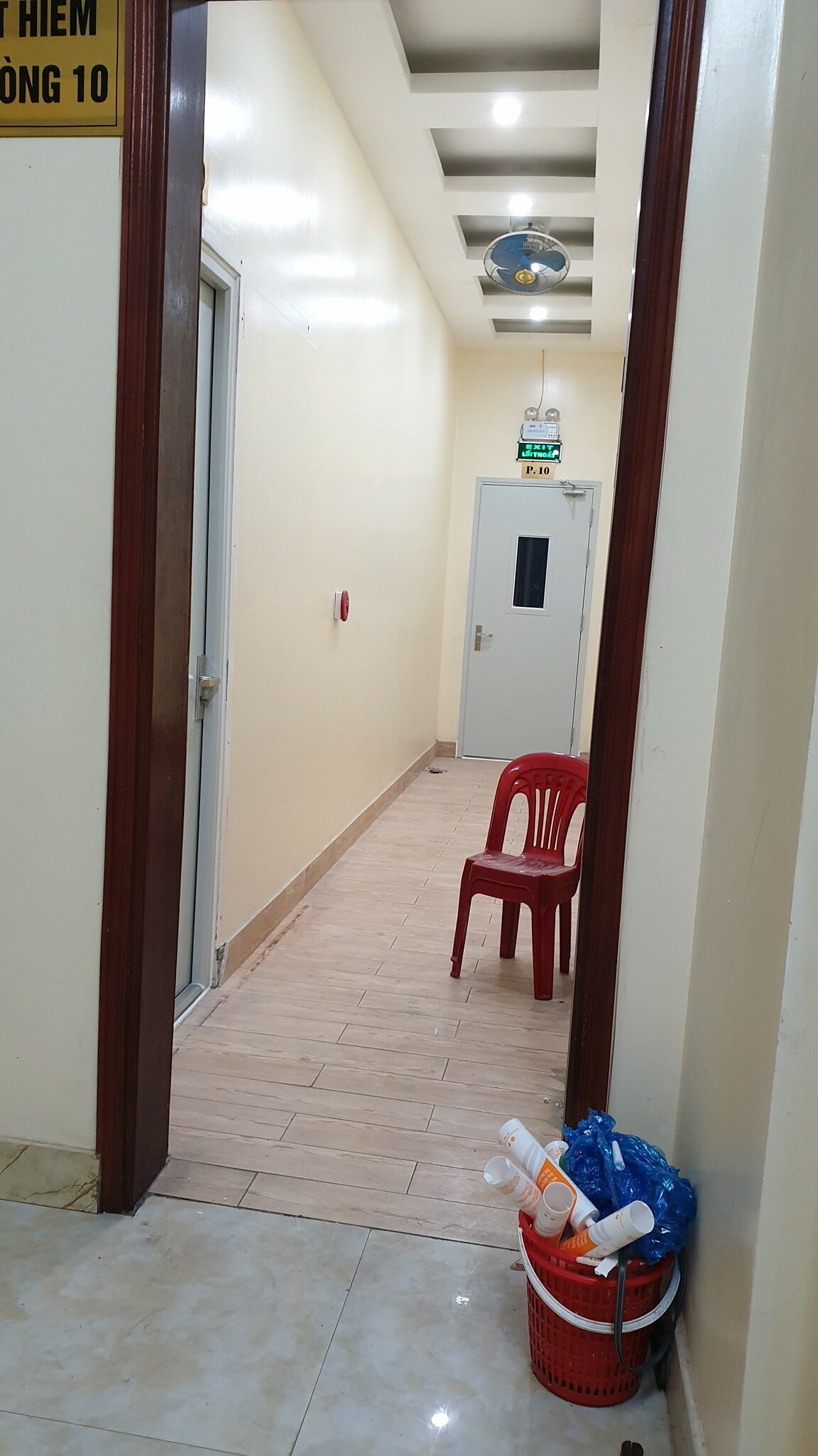 Luxury Denshi Việt Nam 1