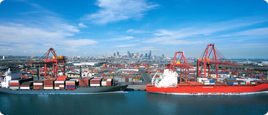 Vận Tải Dầu Khí Việt Nam FALCON TIC 9