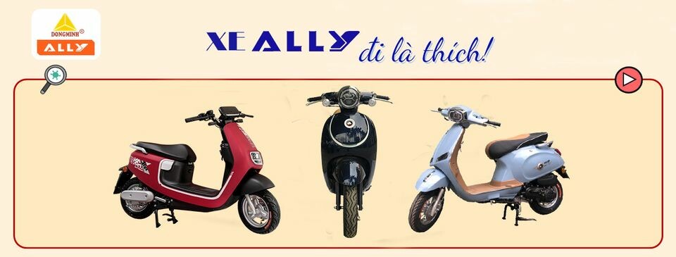 Công thương Đồng Minh - Xe máy Ally 10