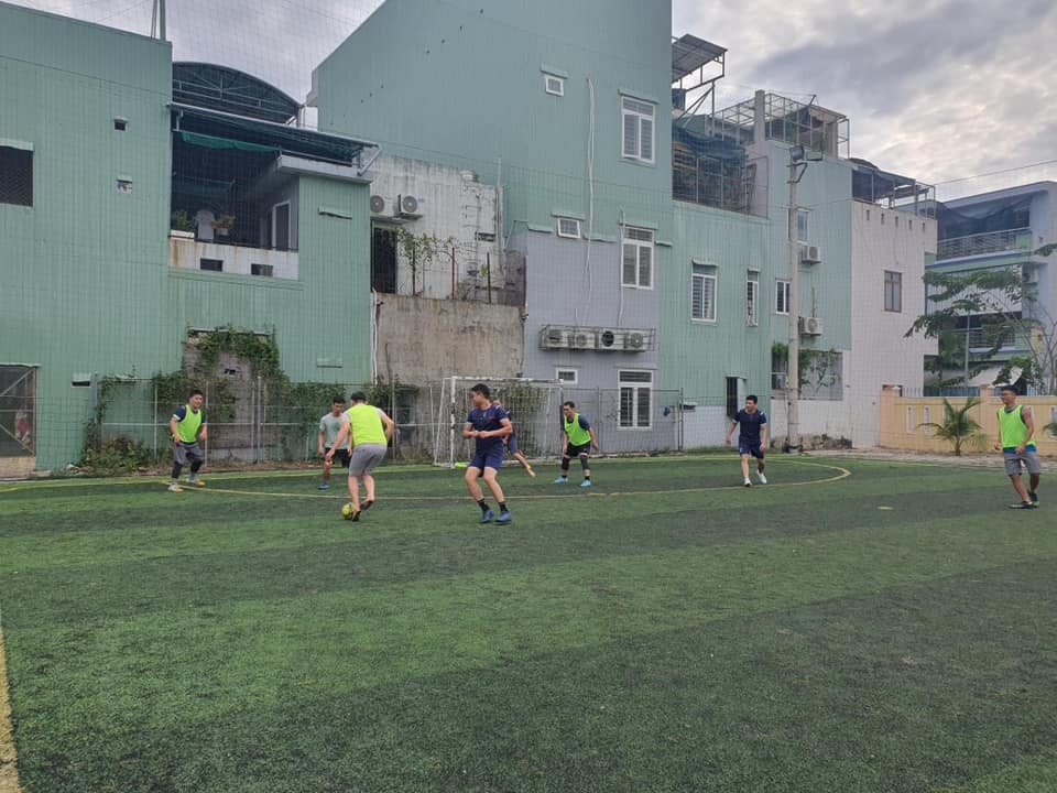 SAO BIỂN HẠ LONG 8