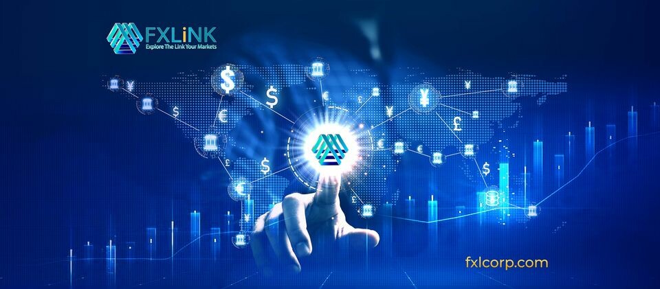 FXLink Việt Nam 10