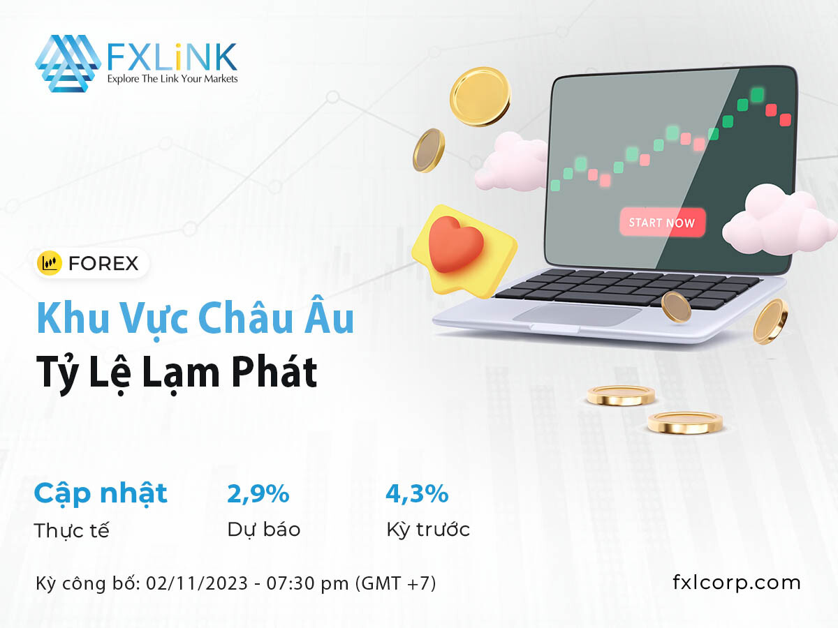 FXLink Việt Nam 8