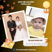 Zf Automotive Việt Nam 2