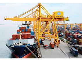 Vận Tải Dầu Khí Việt Nam FALCON TIC 11